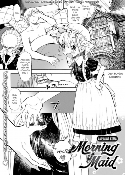 Morning Maid